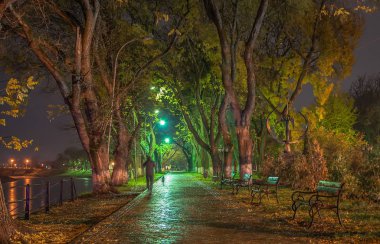 Yağmurda gece şehir manzara