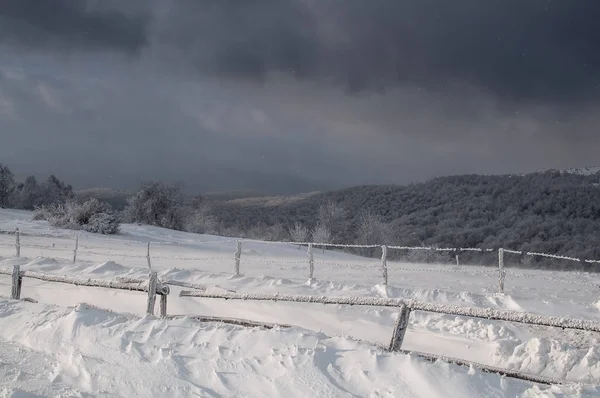 Paisagem Inverno Cárpatos Uma Nevasca — Fotografia de Stock