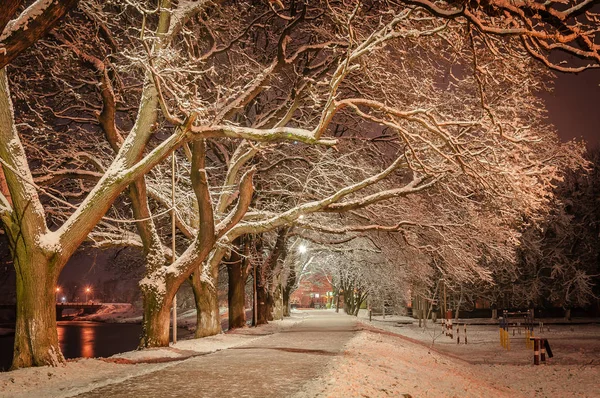 Uzhgorod akşam kış manzara