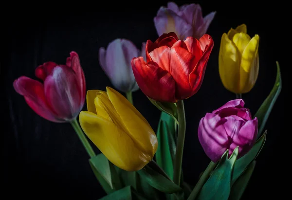 Ramo Con Tulipanes Coloridos — Foto de Stock