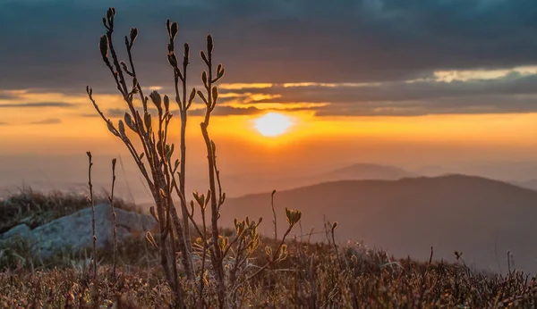 Coucher Soleil Haut Dans Les Montagnes Des Carpates — Photo