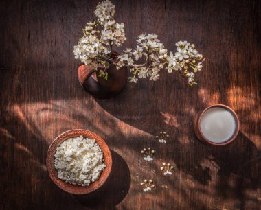 Kedi Baharı denen natürmort