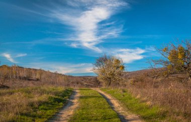Bahar Karpat Dağları Manzara