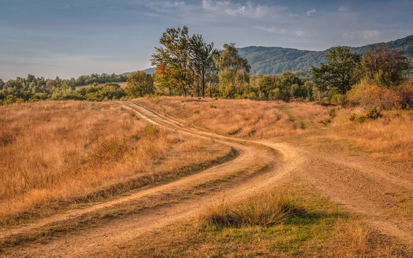 Paisagem Verão Montanhas Cárpatas — Fotografia de Stock