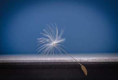 Mecazi natürmort Kaçış