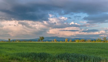 Yaz Karpat Dağları peyzaj