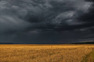 Fırtınalı gökyüzü ile kırpma alanı