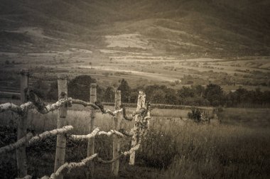 Yaz Karpat Dağları peyzaj