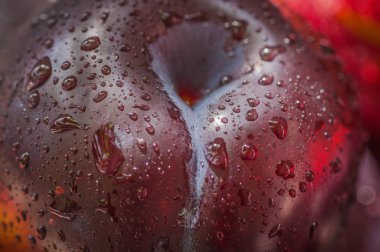 Natürmort erotizm denen. Erik. 