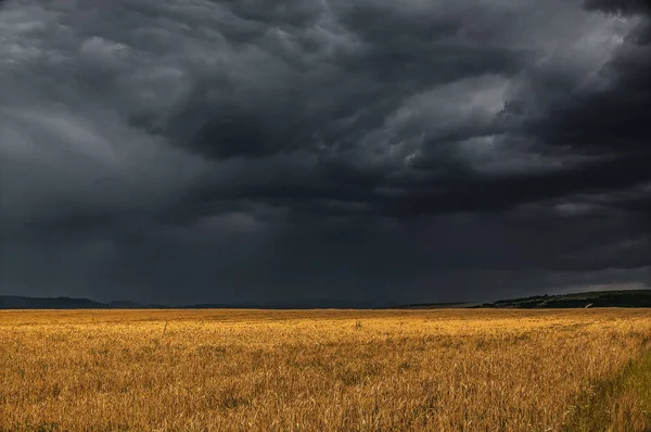 Fırtınalı gökyüzü ile kırpma alanı