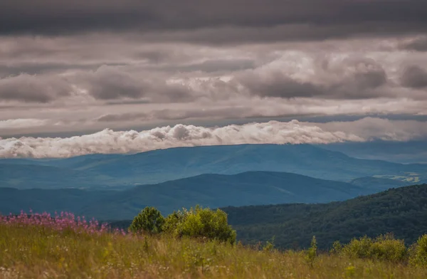 Ландшафт Літніх Карпатських Гір — стокове фото