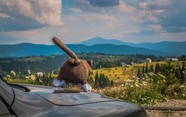 Toy cat travels in the Carpathians