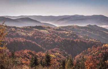 Sonbahar Karpat Dağları peyzaj