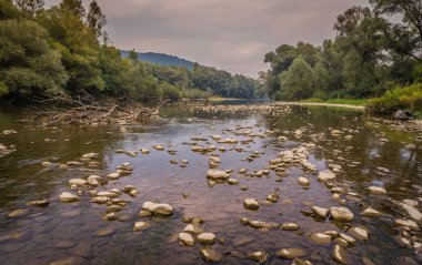 Akşamları dağ nehrinin peyzaj