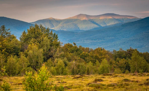 Peisajul Verii Munții Carpați — Fotografie, imagine de stoc
