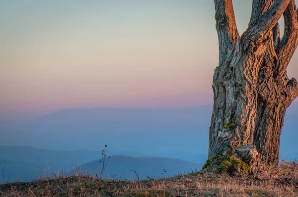 Paisaje Otoño Montañas Los Cárpatos — Foto de Stock