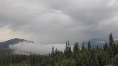 Bir fırtına sonra Misty Carpathians