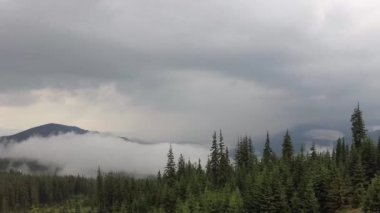 Bir fırtına sonra Misty Carpathians