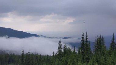 Bir fırtına sonra Misty Carpathians