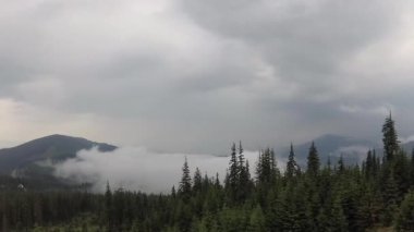 Bir fırtına sonra Misty Carpathians