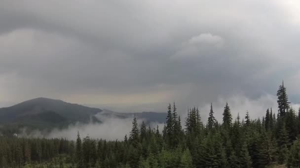 Misty Carpathians Depois Uma Tempestade — Vídeo de Stock