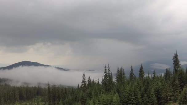 Misty Cárpatos Después Una Tormenta — Vídeo de stock