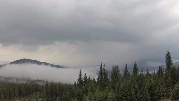 雷雨过后的薄雾喀尔巴鄂山脉 — 图库视频影像