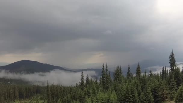 Misty Cárpatos Después Una Tormenta — Vídeo de stock