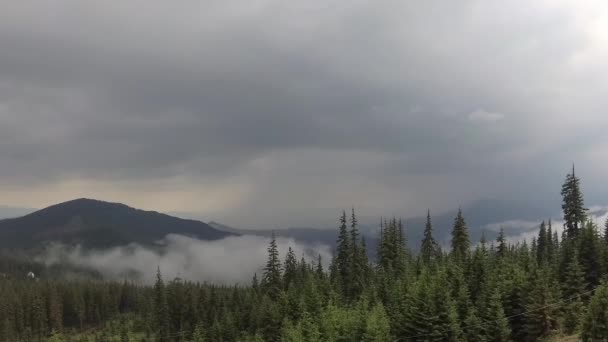 Misty Cárpatos Después Una Tormenta — Vídeo de stock