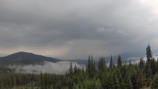 Туманні Карпати Після Гроза — стокове відео