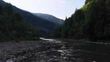 Karpat Dağları 'nda akan nehir.