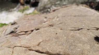 Karpat Dağları 'nda akan nehir.