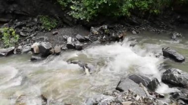 Karpat Dağları 'nda akan nehir.