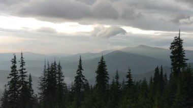 Bir fırtına sonra Misty Carpathians