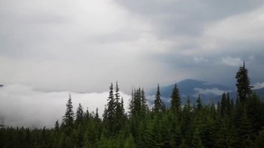 Bir fırtına sonra Misty Carpathians