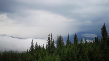 Bir fırtına sonra Misty Carpathians