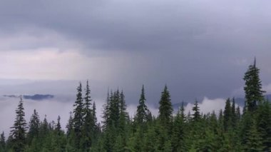 Bir fırtına sonra Misty Carpathians