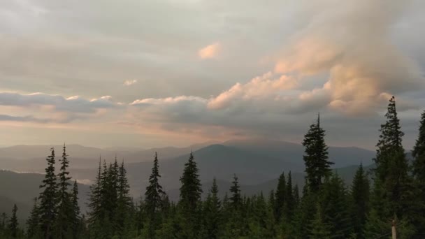 Dawn Carpathian Mountains — Stock Video