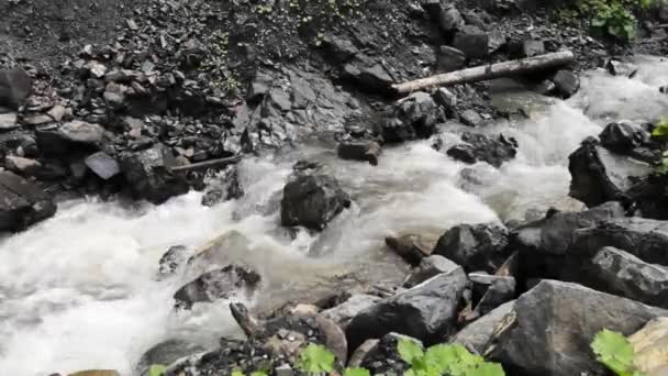 Rio Montanha Pleno Fluxo Nas Montanhas Cárpatas — Vídeo de Stock