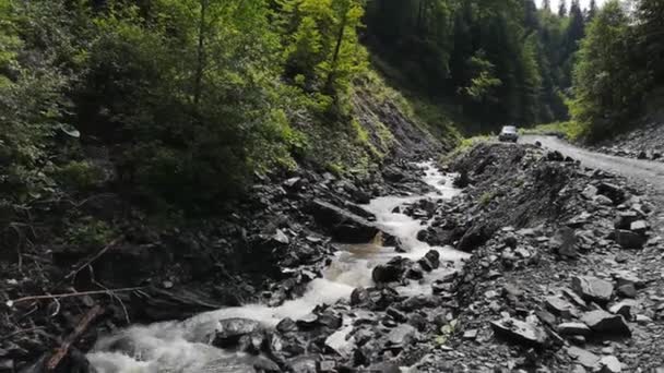 Rio Montanha Pleno Fluxo Nas Montanhas Cárpatas — Vídeo de Stock