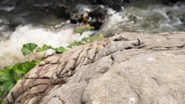 Rio Montanha Pleno Fluxo Nas Montanhas Cárpatas — Vídeo de Stock