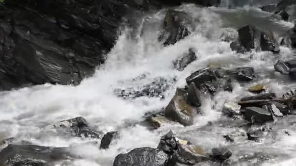 Río Montañoso Que Fluye Por Los Cárpatos — Vídeos de Stock