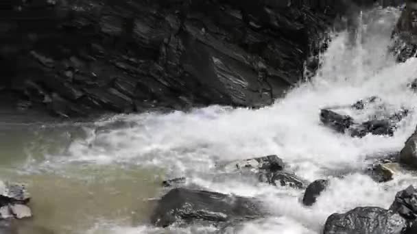 Río Montañoso Que Fluye Por Los Cárpatos — Vídeos de Stock