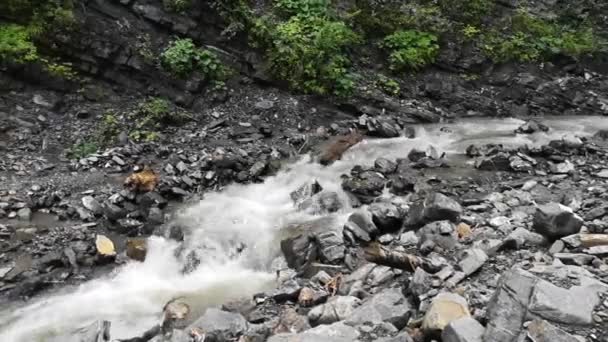 Rio Montanha Pleno Fluxo Nas Montanhas Cárpatas — Vídeo de Stock