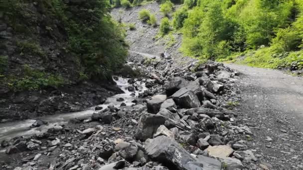 Πλήρης Ροή Του Ποταμού Βουνού Καρπάθια Όρη — Αρχείο Βίντεο