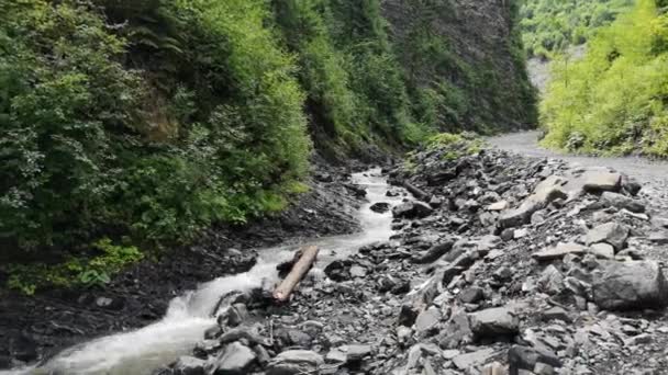 Rio Montanha Pleno Fluxo Nas Montanhas Cárpatas — Vídeo de Stock