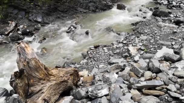 Full Flowing Mountain River Carpathian Mountains — Stock Video