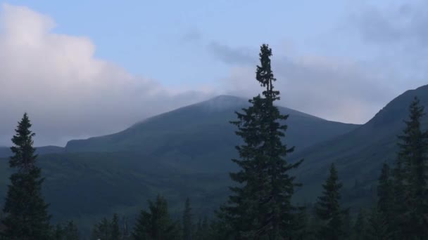 Misty Carpathians Thunderstorm — Stock Video