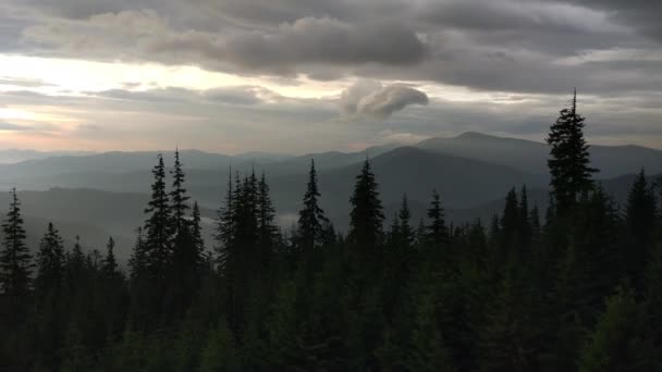 Misty Carpathians Burzy — Wideo stockowe