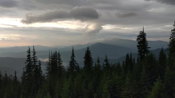 Bir Fırtına Sonra Misty Carpathians — Stok video
